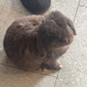 Meet your Posher, Margaux